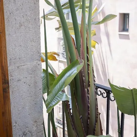 Affittacamere Sol Y K