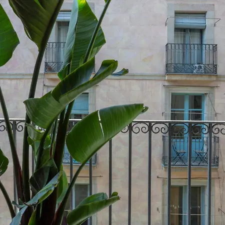 Sol Y K Guest house Barcelona
