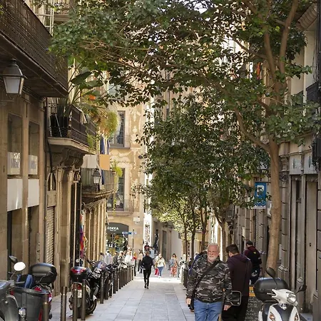 Sol Y K Affittacamere