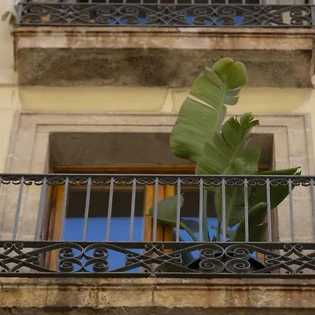Maison d'hôtes Sol Y K